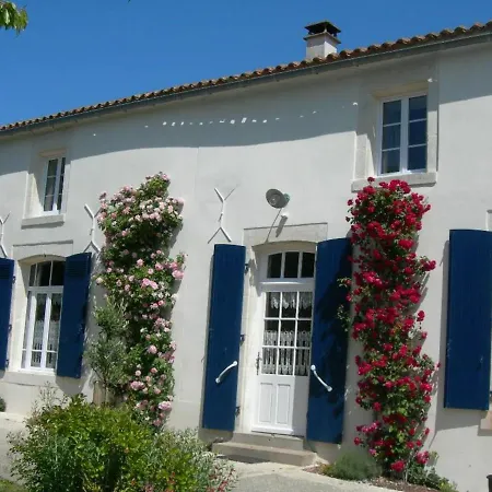 Maison Au Cœur Du Marais Poitevin Avec Barques, Canoës, Pédalo Et Vélos включены - Fr-1-426-147 Damvix